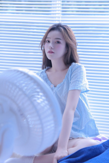高贵一族